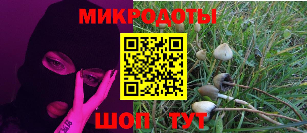 Псилоцибиновые грибы ЛСД  Галлюциногенные грибы MAGIC MUSHROOMS  Вход с VPN  купить  сайты  Зеленодольск 